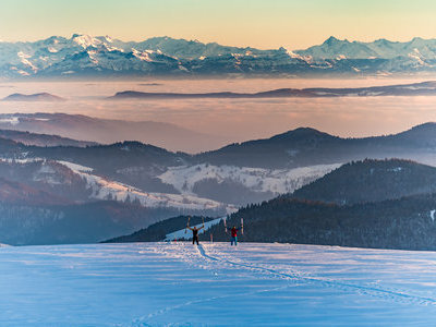 &copy; Klaus Hansen