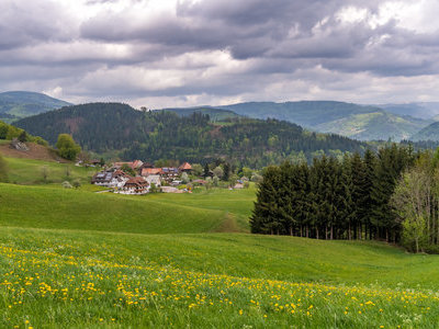 Beispielsbild aus der Kategorie "Fr&uuml;hling in der Schwarzwaldregion Belchen" unseres  Pressebildarchivs