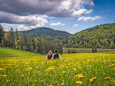&copy; Klaus Hansen