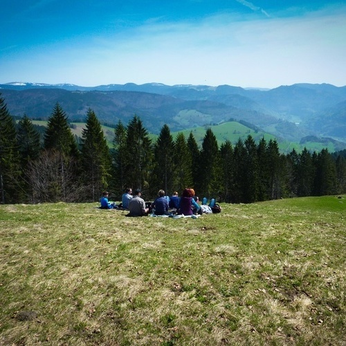 Belchen - Auf dem Wanderweg vom Belchen nach Sch&ouml;nau