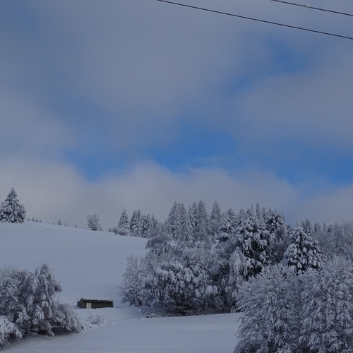 Winterlandschaft - ..so sch&ouml;n kann Winter sein