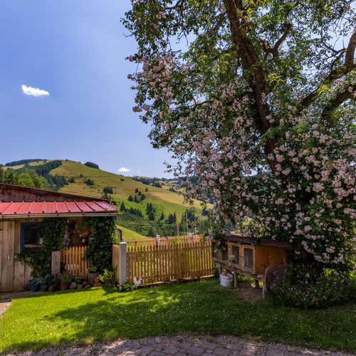 Blick vom Garten auf die umliegende gr&uuml;ne Landschaft  - 