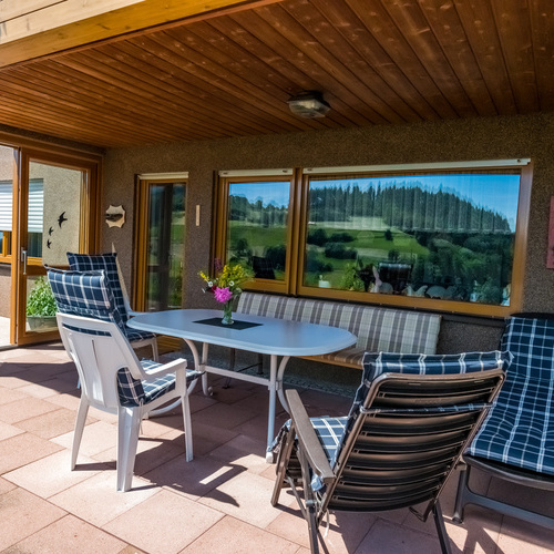 &Uuml;berdachte Terrasse der Ferienwohnung  - 