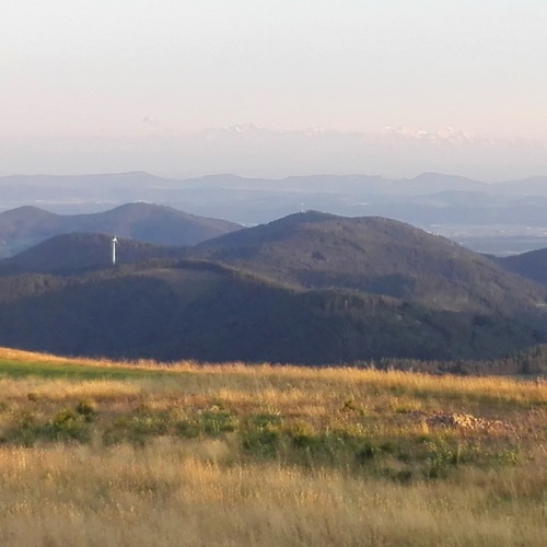 Aussicht vom Belchen mit Alpen im Hintergrund - 
