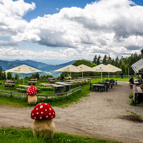 Terrasse des Almgasthauses mit Tischen, B&auml;nken und Sonnenschirmen  - 